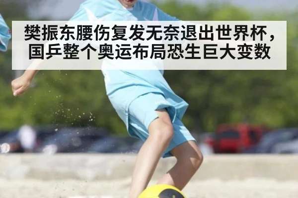 樊振东腰伤复发无奈退出世界杯，国乒整个奥运布局恐生巨大变数